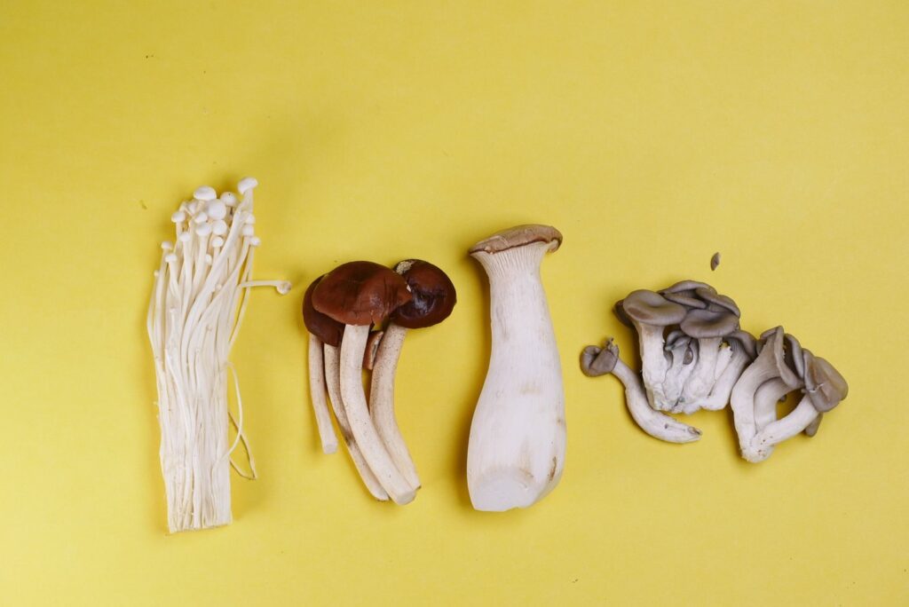Close-up of diverse mushrooms arranged on a bright yellow background, showcasing variety and texture.