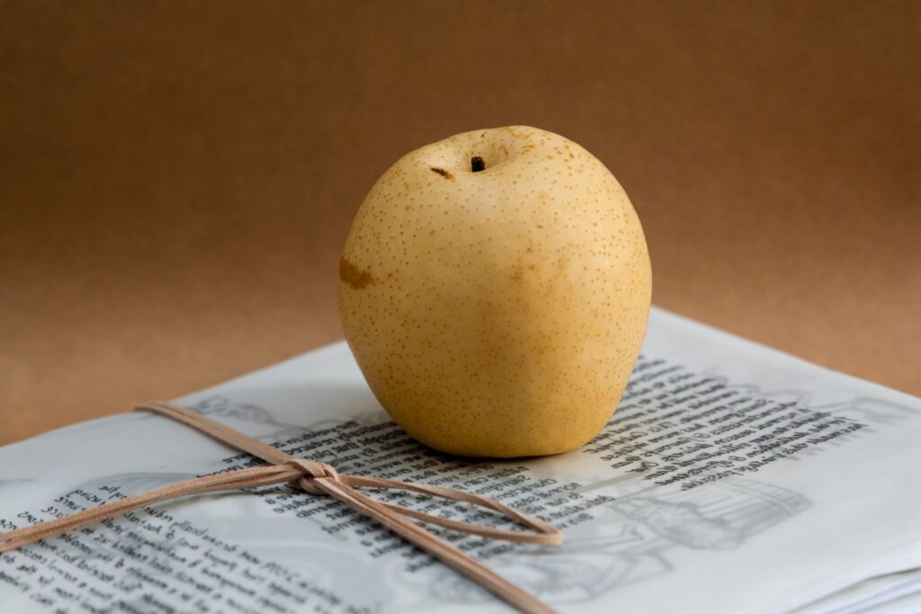An Asian pear placed atop stacked papers, set against a neutral background.